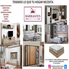 A_3650_M_3679_3917_BARRANTES MOBILIARIO_CARTEL PUBLI TINTO (1).jpg